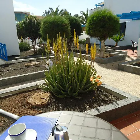 Apartment Vv 10a *